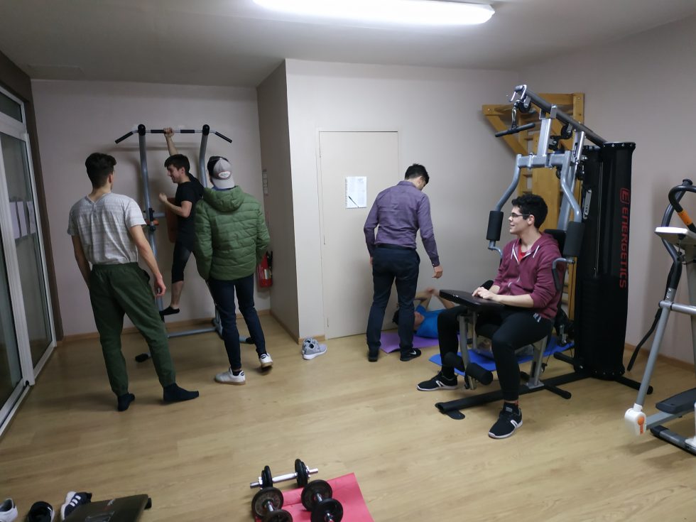 Les activités & Habitat des jeunes en Albigeois